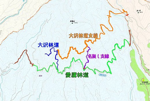12年6月2日愛鷹林道MAP-520.jpg